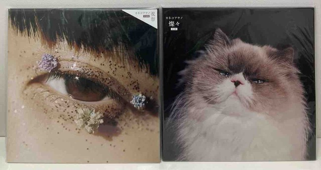 カネコアヤノ/『祝祭』『燦々』人気中古レコード2タイトル入荷いたし