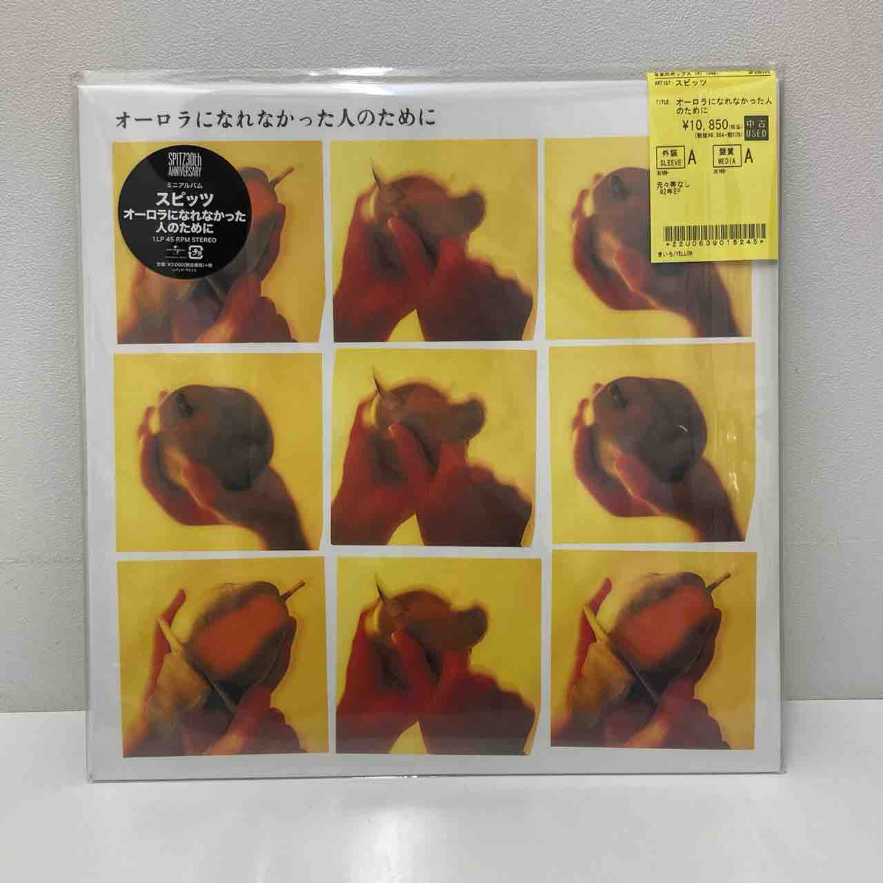 THE BLUE HEARTS、スピッツなど中古レコード多数入荷しております