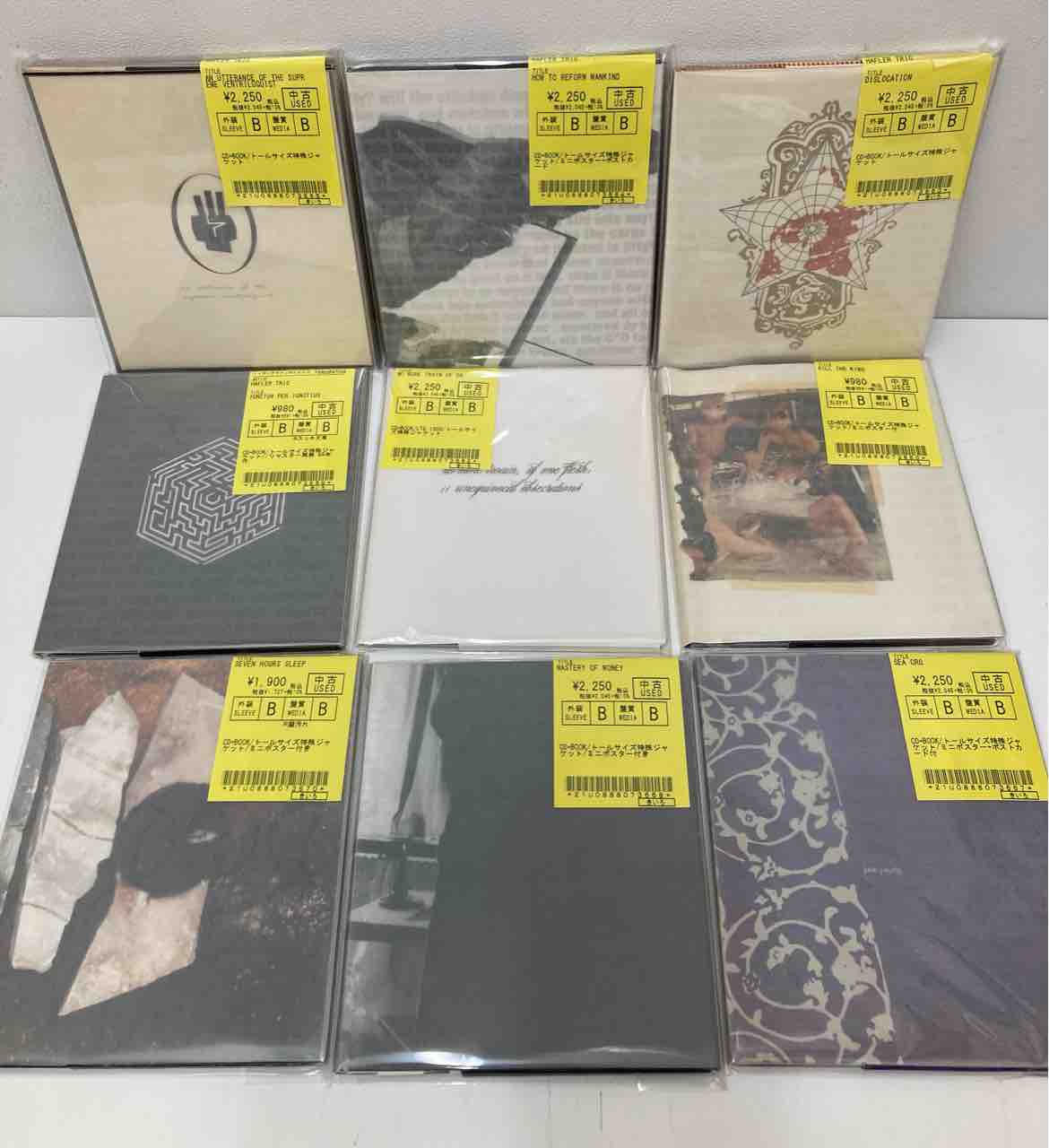 THE HAFLER TRIO ／ BRAIN SONG．限定1000！ The Hafler Trio & Thee Temple Ov Psychick Youth – Present