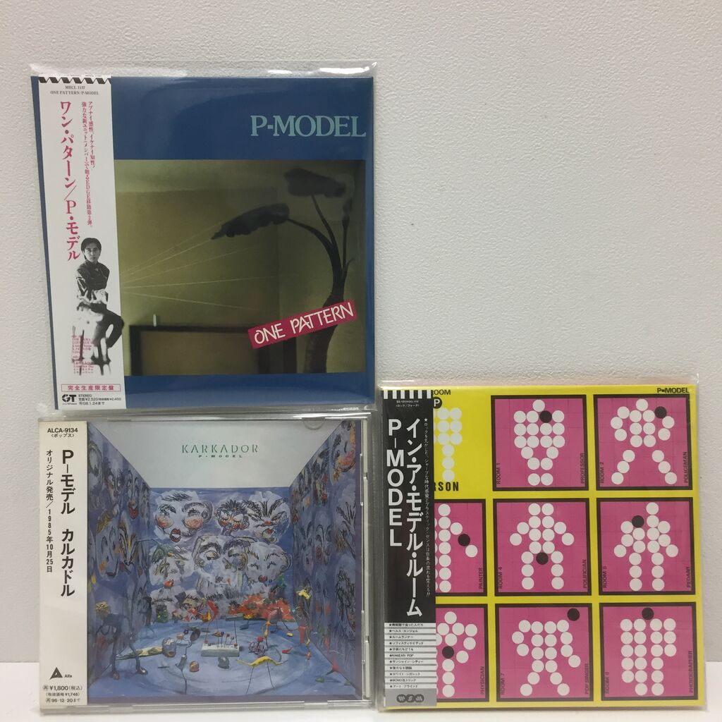 2/3(金) P-MODELの新着中古CD入荷情報 : ディスクユニオン中野店