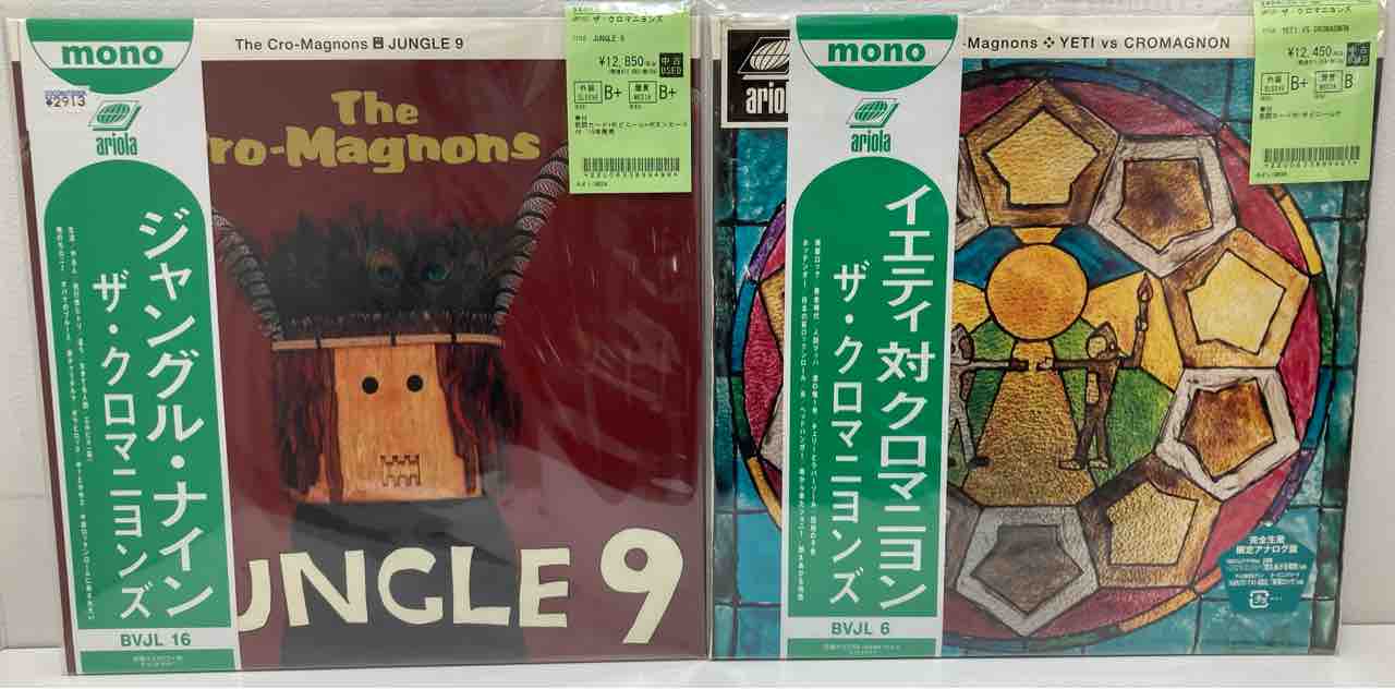ザ・ハイロウズ』『ザ・ブルーハーツ』関連中古レコードがまとまって