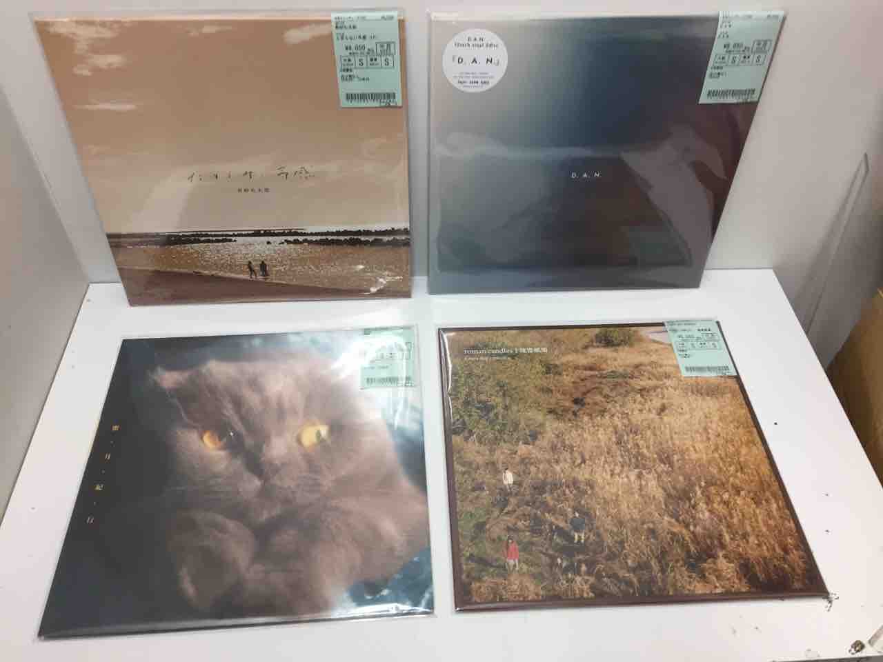 踊ってばかりの国/家主/猫戦など日本のレコード入荷しました