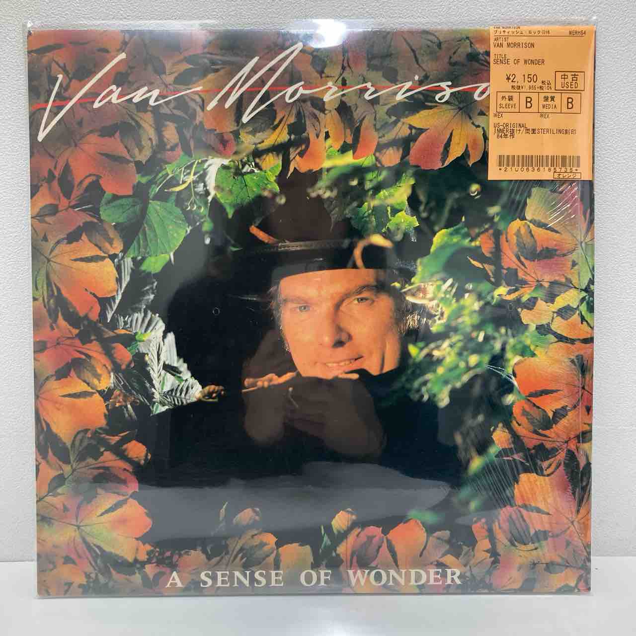 古ロック「VAN MORRISON」US-ORIGINAL盤中古レコード6点入荷 古ロック「VAN MORRISON」US-ORIGINAL盤中古レコード6点入荷