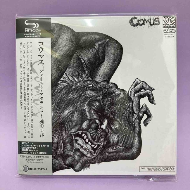 あなたの天才を呼び覚ます DVD&CD Win Wenger ウィン・ウェンガー「あなたの天才を呼び覚ます」DVD&CD&