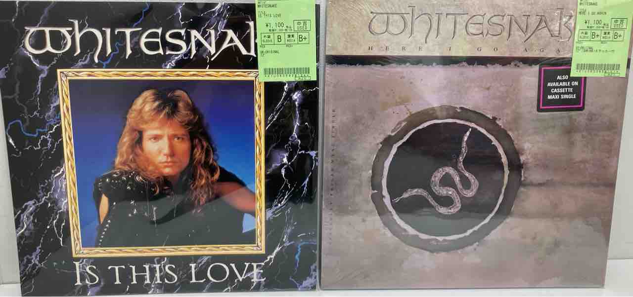METALLICA』や『W.A.S.P.』『DEF LEPPARD』『DIO』の中古12