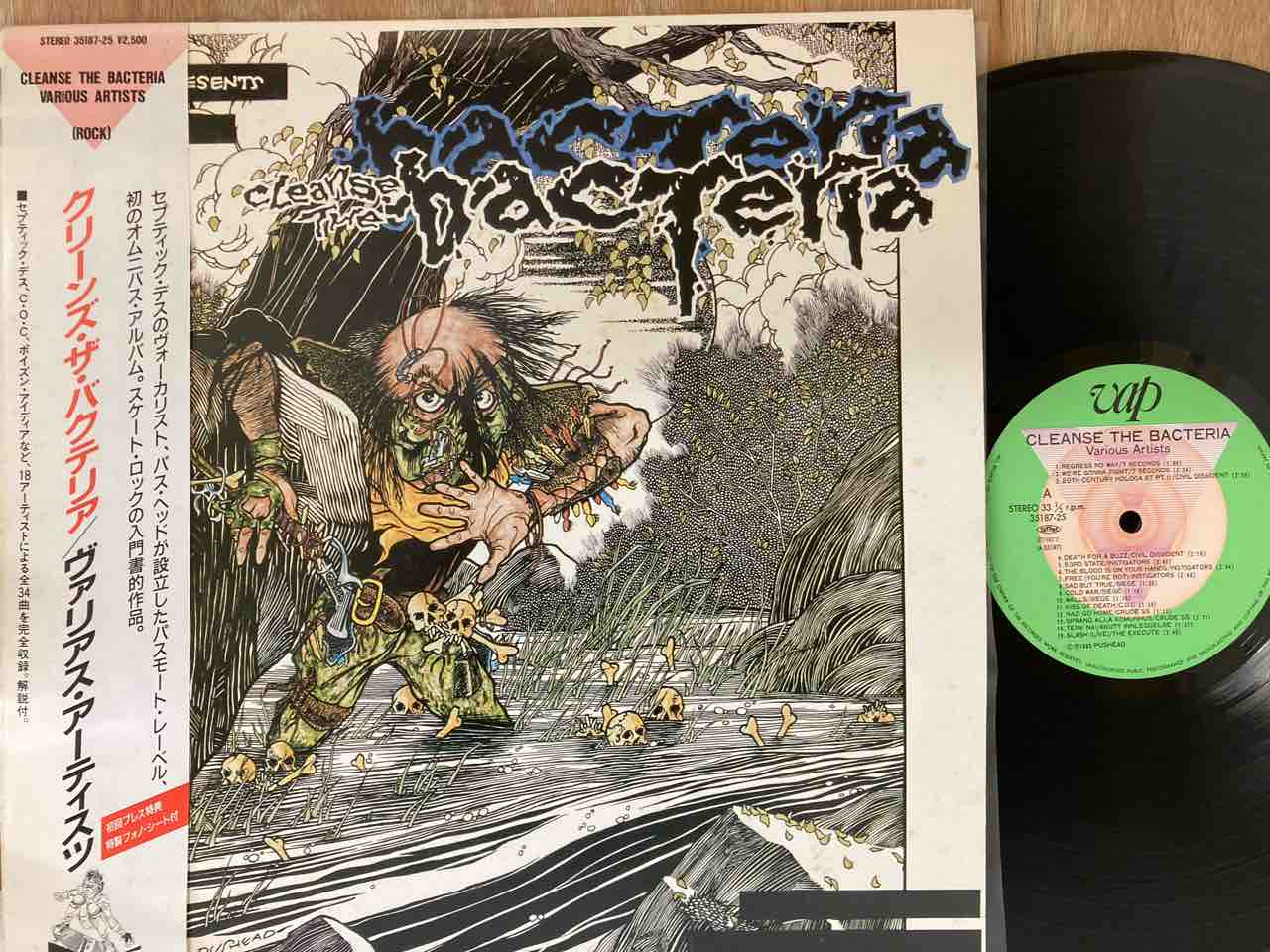 洋楽 Cleanse the Bacteria - Various Artists Ancient bacteria might lurk beneath Mars' surface