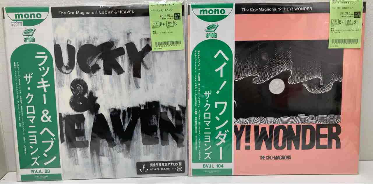 ザ・ハイロウズ』『ザ・ブルーハーツ』関連中古レコードがまとまって