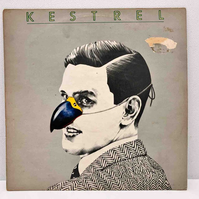 KESTREL ケストレル 限定アナログ 2枚組 / ボーナストラック6曲収録 英国メロトロン・プログレの至宝「KESTREL」UKオリジナル盤入荷