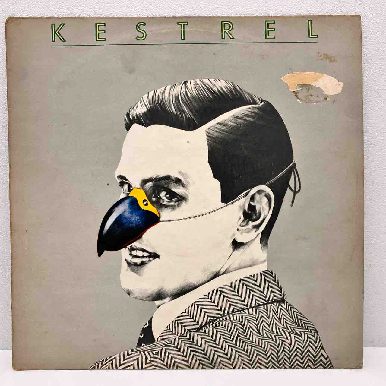 KESTREL ケストレル 限定アナログ 2枚組 / ボーナストラック6曲収録 英国メロトロン・プログレの至宝「KESTREL」UKオリジナル盤入荷