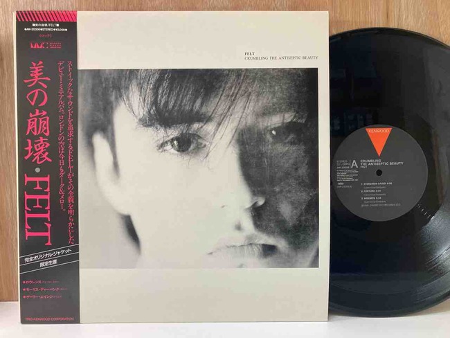美の崩壊　FELT 限定盤 レコード 日本盤 2025年最新】Crumbling the Antiseptic Beautyの人気アイテム