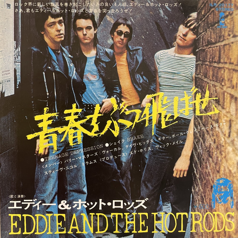THE BIG BAND!! TOKYO HOT ROD 96 レコード THE BIG BAND!! TOKYO HOT ROD 96 レコード - メルカリ