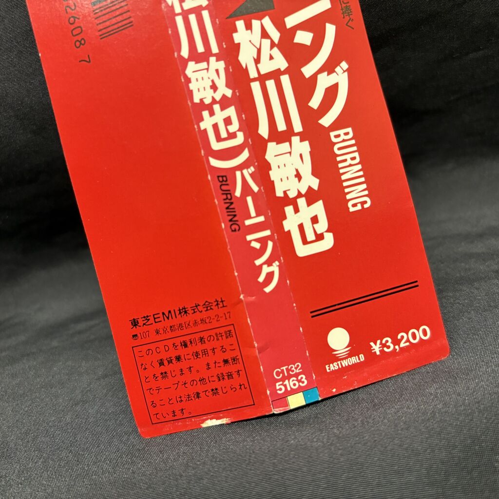 ラン(松川敏也) / バーニング 今は亡きランディーローズに捧ぐ