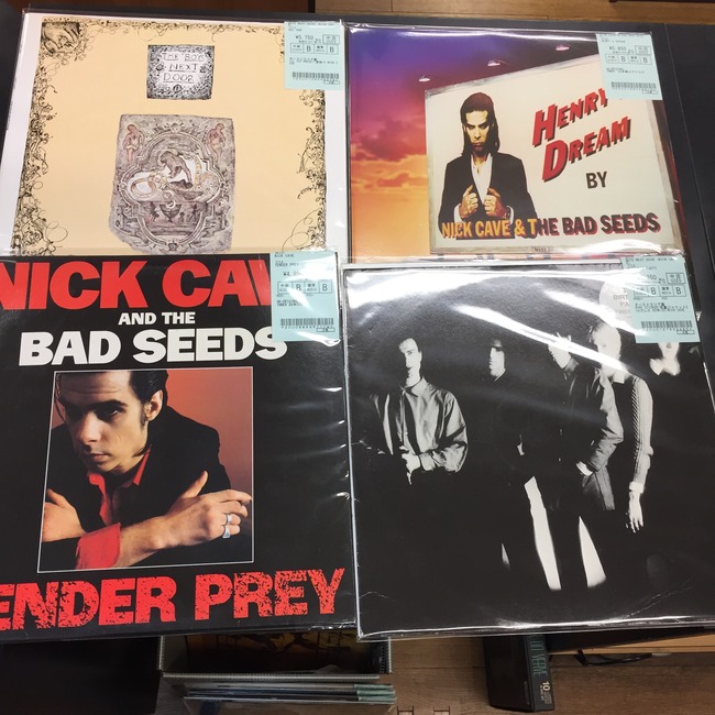 NICK CAVE
