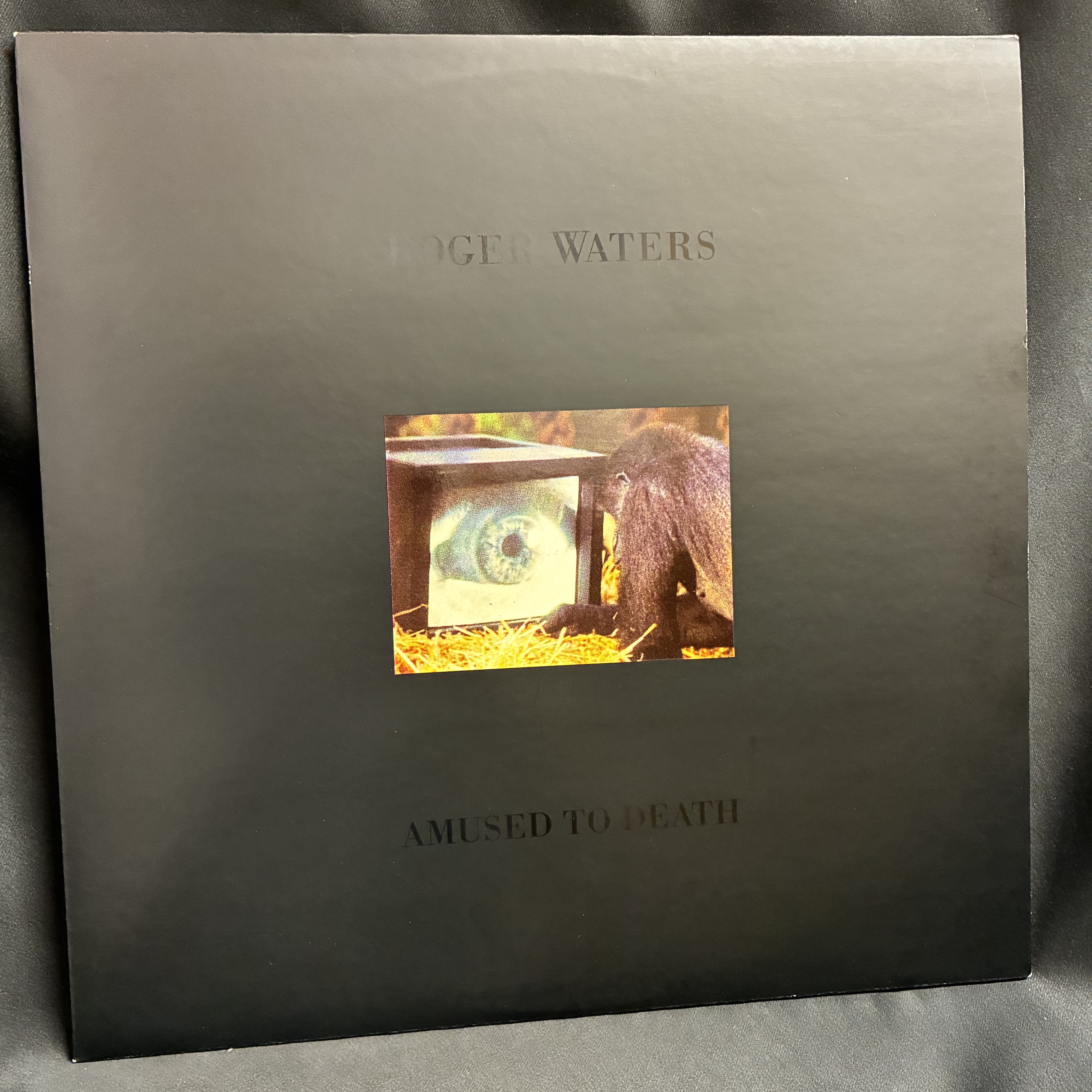 6/2(火)【中古レコード】＜近年プレス＞ENO & DAVID BYRNEの09年コラボ