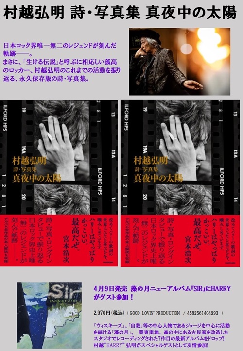 HARRY_POP