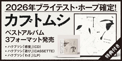 かぶとむし