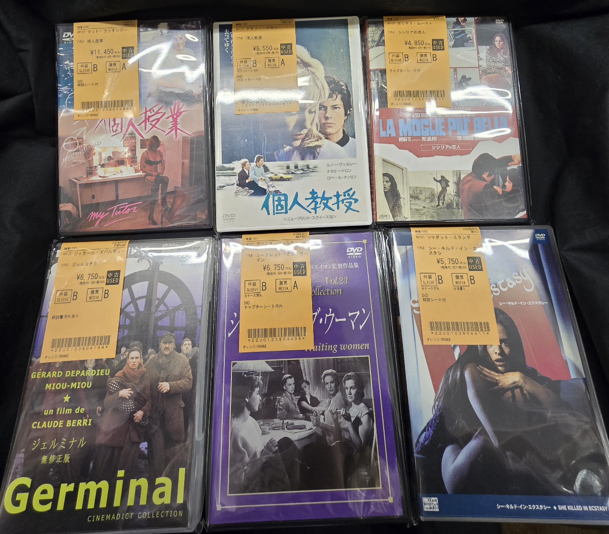 中古廃盤DVD入荷】 個人授業、 シークレット・オブ・ウーマン等入荷