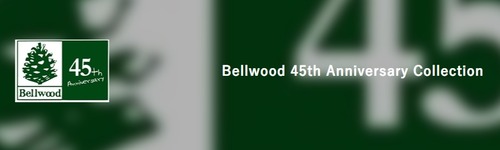 45th_bw_logo
