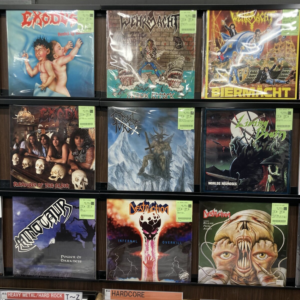 CARNIVORE, TESTAMENT, VEKTOR, WEHRMACHTなどオリジナル盤含む