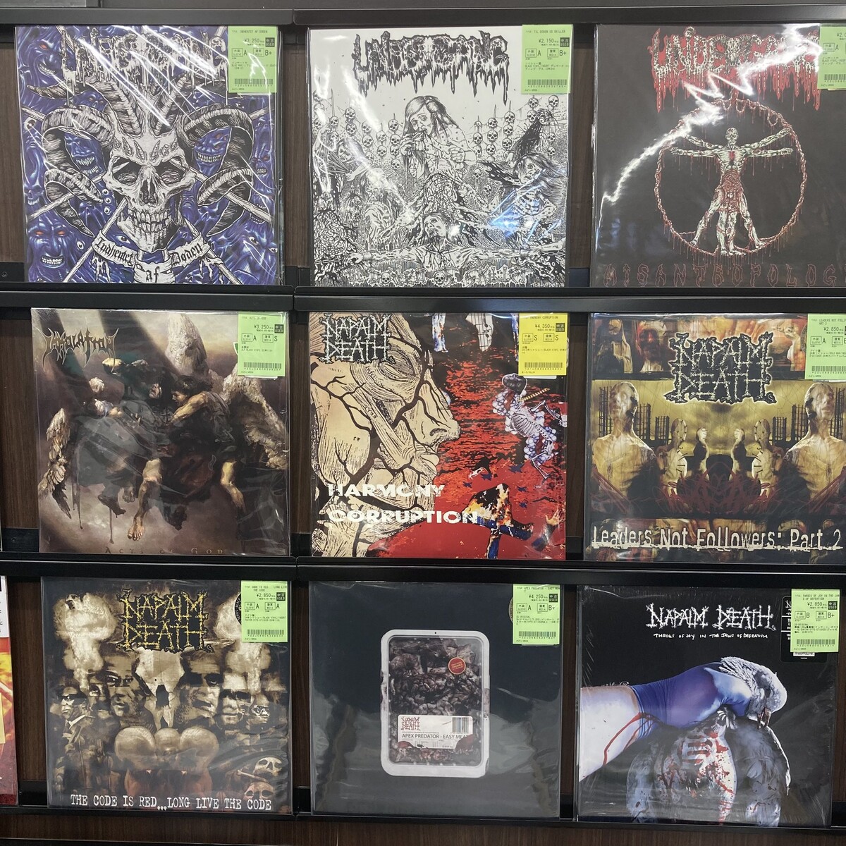 BRUJERIA, CARNAGE, NAPALM DEATH, ORIGIN, UNDERGANGなど