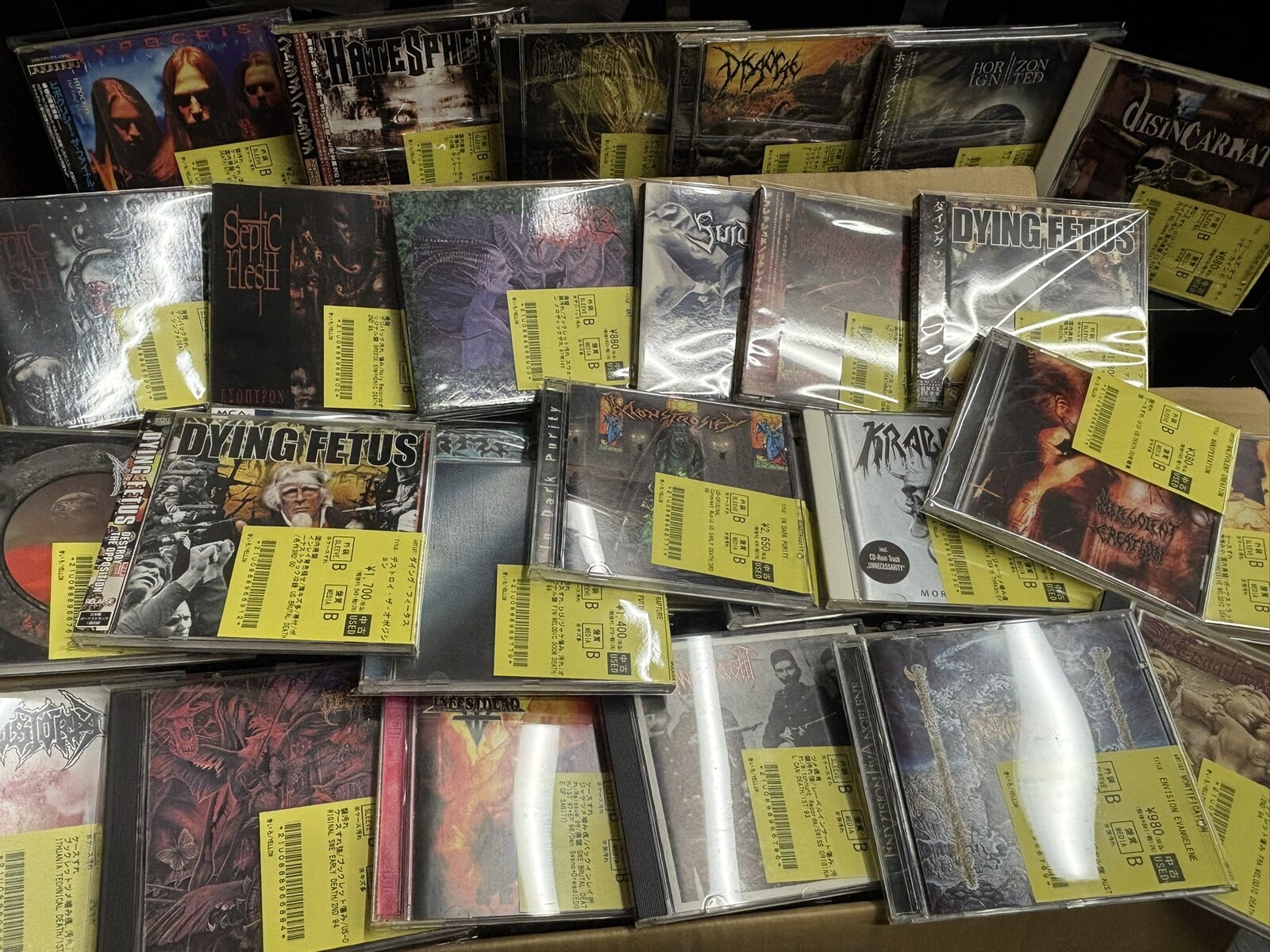 CRADLE OF FILTH,新品未開封,ブラックメタル,国内盤 Cradle Of Filth Cruelty Brought Thee Orchids | ドラマー山王
