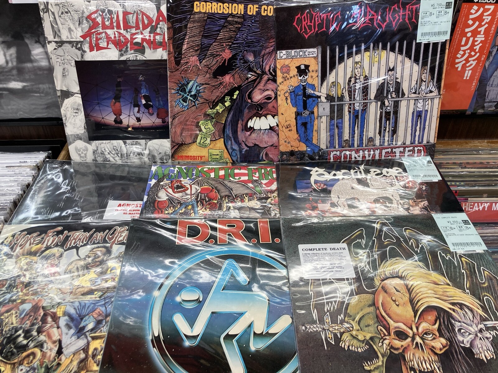 中古レコード】ACCUSED、CRUMBSUCKERS、LUDICHRISTなどクロスオーバー