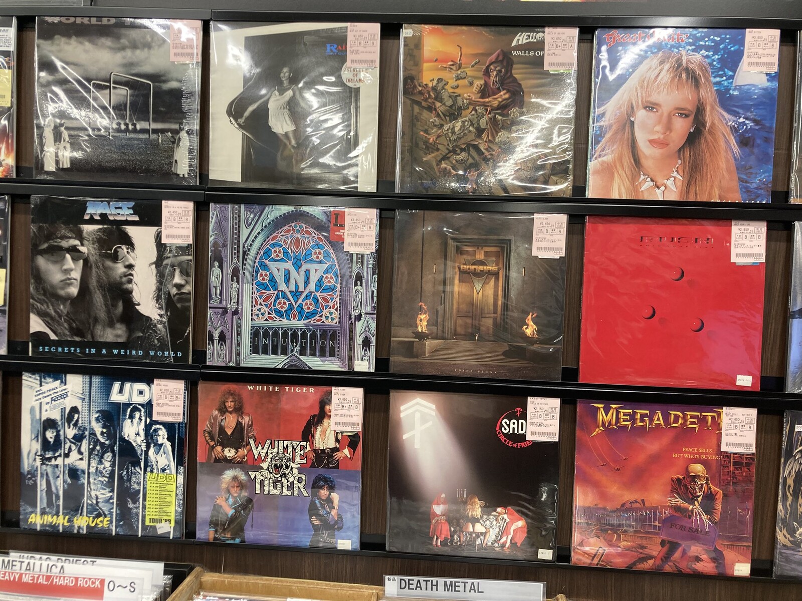 GREAT WHITE, RAINBOW, THIN LIZZY, TNTなど中古レコードが入荷しま