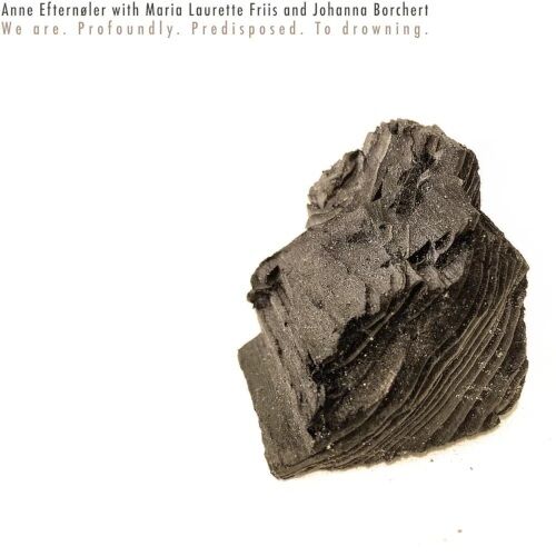 ○新品CD○2026年1月28日 本日の新入荷CD フリー/アヴァンギャルド