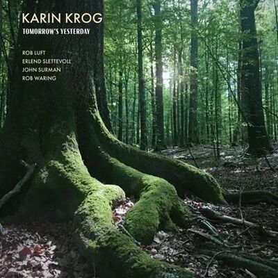 karinkrog