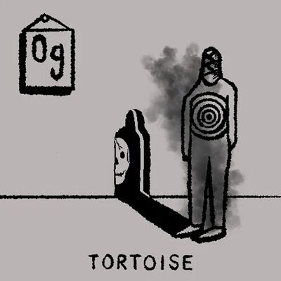 tortoise_remix