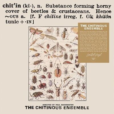 CHITINOUS ENSEMBLE  CHITINOUS