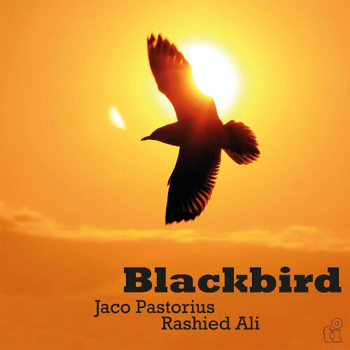 ○新品LP○JACO PASTORIUS / BLACKBIRD: 1984年フランスのラジオ局で