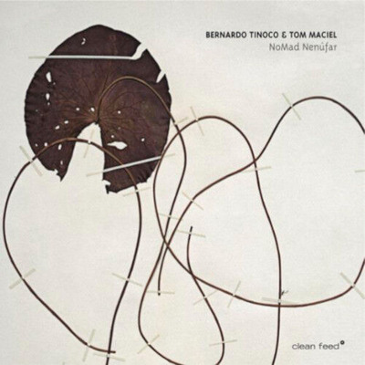 61pLsjv-pdL._AC_SL1000_