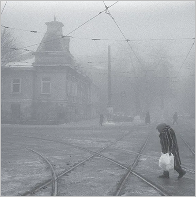 fj1_VADIM NESELOVSKYI