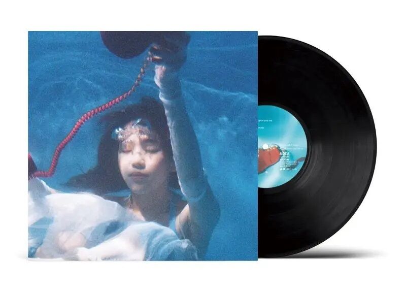 ○新品LP○ミーニングフル・ストーン / A CALL FROM MY DREAM(LP