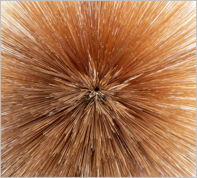 ○新品CD○ 2026年2月19日 本日の入荷CD モダンジャズ : ディスク