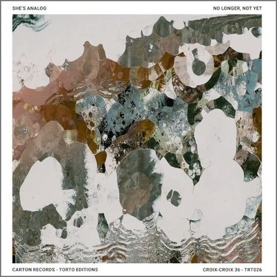 ○新品LP○SHE'S ANALOG / NO LONGER, NOT YET(LP): セカンド