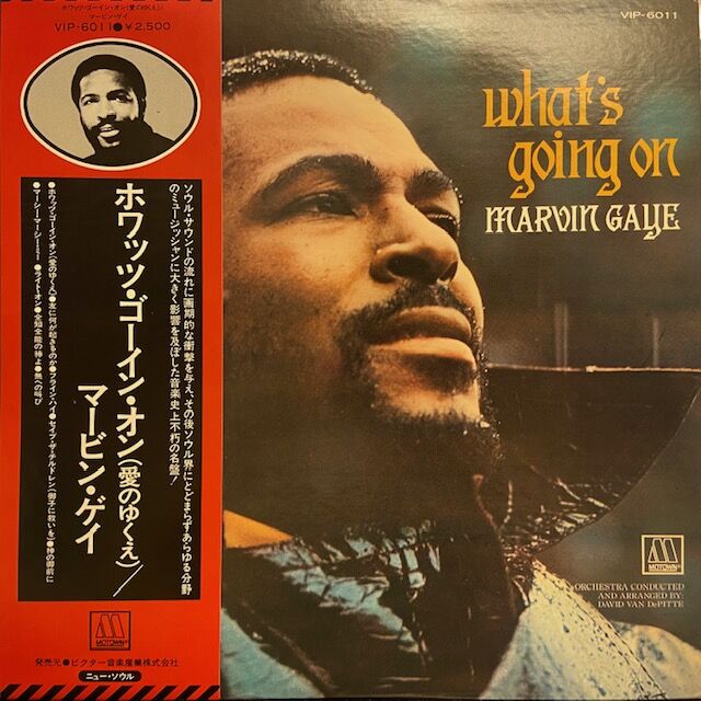 タンネルズ  ペインテッド・ロック　帯付　国内盤 タンネルズ ペインテッド・ロック 帯付 国内盤 12/27(火)【中古