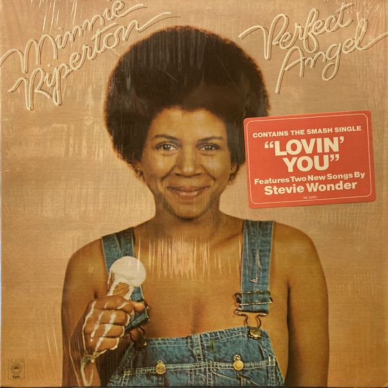◎1/30(月) SOUL~RARE GROOVE 新着&廃盤中古LP 100枚オーバー ◎1/30(月) SOUL~RARE GROOVE 新着&廃盤中古LP 100枚オーバー