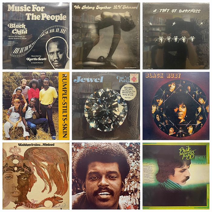 オンラインショップ購入ボタン設置しました！オンラインにてご購入