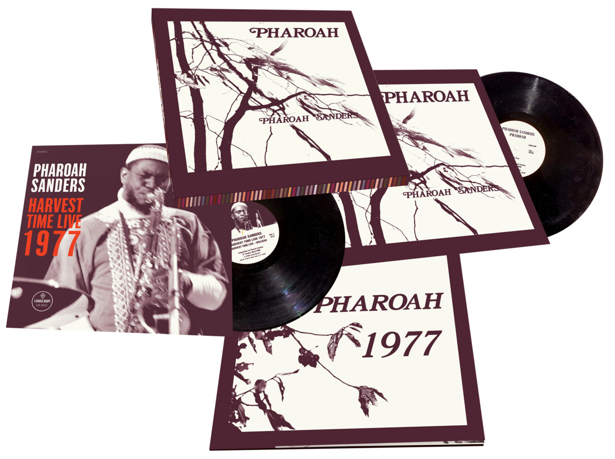 Moving Days (LP)/Homecomings｜日本のロック｜ディスクユニオン