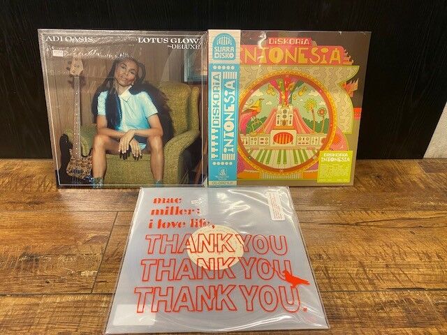 LP DARWIN'S THEORY lotus land モダンソウル DARWIN'S THEORY / I LOVE EVERYTHING ABOUT YOU / 7