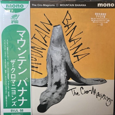 新品未開封 ザ・クロマニヨンズ 炎 シングル EP レコード 新品未開封 ザ・クロマニヨンズ 炎 シングル EP レコード 新品未