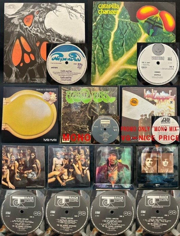 Amazon.co.jp: にしな LPレコード 1999 - Spotify ANALOG
