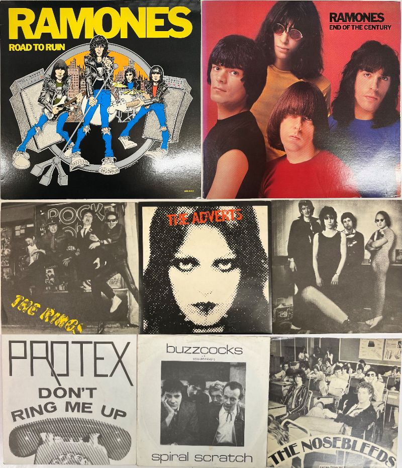 RAMONES レコード　極美品 重量盤180g］ラモーンズ ロードトゥルーイン LPレコードパンク