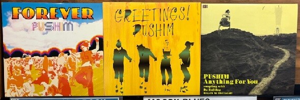 pushim レコード forever 10inch ジャパレゲ レゲエ ジャパレゲ pushim レコード forever 10inch ジャパレゲ レゲエ ジャパレゲ