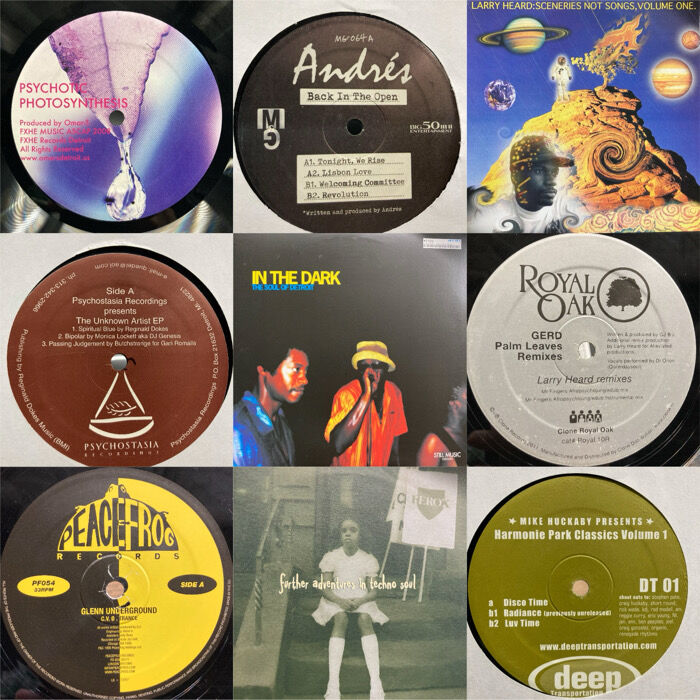 DJ レコード まとめ売り 40枚 ハウス テクノ クラブミュージック　ジャンク DISCO WAVE Vol.1 《90's ディスコハウス〜ハードハウス