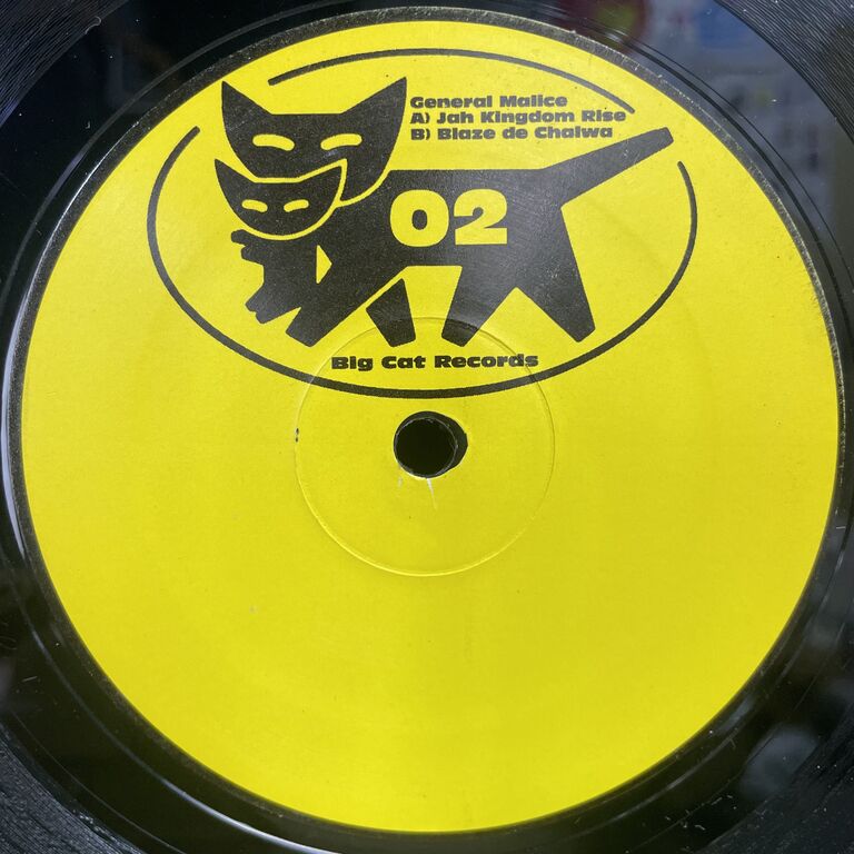 Jungle レコード2枚 10/20(火)Jungle多め！！80/160の中古レコード稀少盤約40点放出