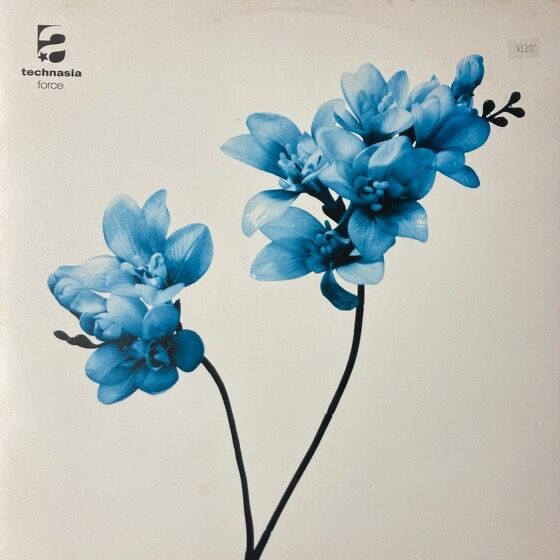 オンライン出品開始しました→10/9(木) 入荷情報！SUSUMU YOKOTA