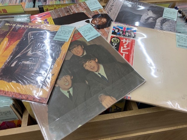 Dinner Party Enigmatic Society クリアビニール